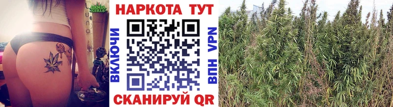 Купить закладку Альфа ПВП  Мефедрон  КОКАИН  Амфетамин  Канабис  ГАШ  Алексин