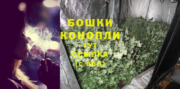 PSILOCYBIN Нея