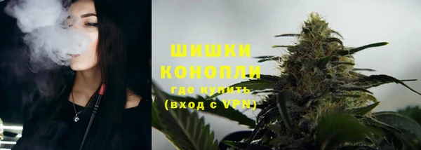 PSILOCYBIN Нея