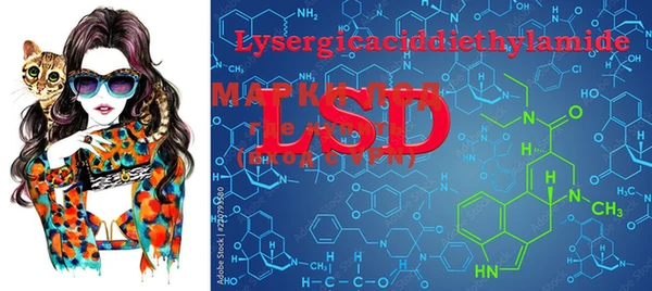 PSILOCYBIN Нея