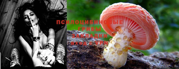 PSILOCYBIN Нея