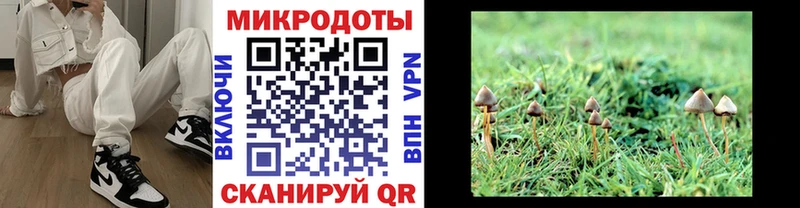 Купить  Алексин  Галлюциногенные грибы ЛСД 