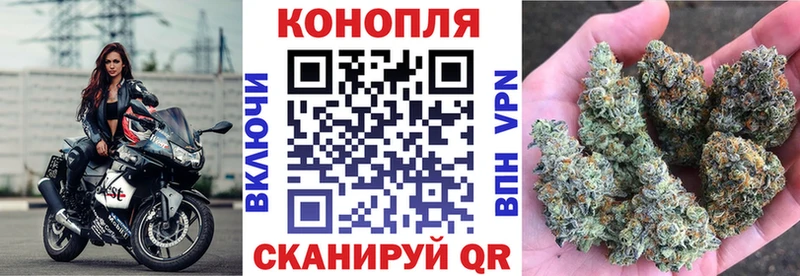 Купить  Алексин  Канабис SATIVA & INDICA 